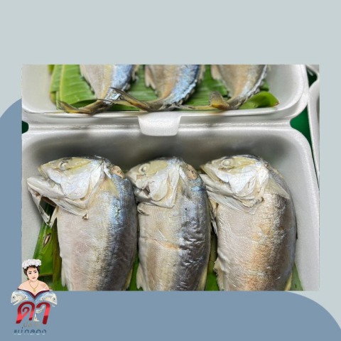 ร้านขายปลาทูแม่กลอง สมุทรสงคราม